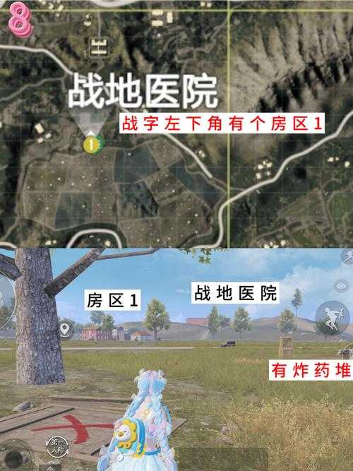 度假岛地图里，那个隐藏地下室竟藏着怎样的资源管理奇招?